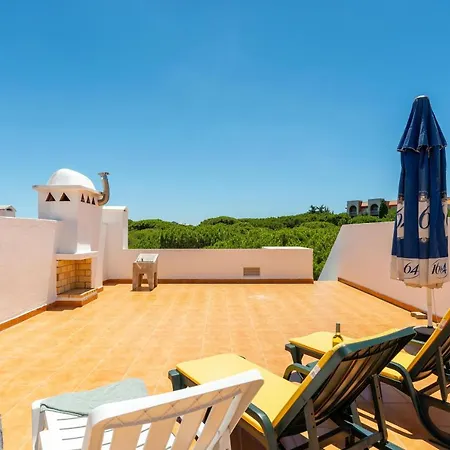 Pine Trees Penthouse شقة *